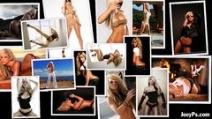 Collage Laura Cavender