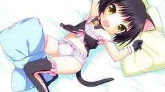 Collar beds blush brunettes short hair yellow eyes nekomimi 