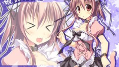 Collar stockings anime girls maids animal ears tails cleavage