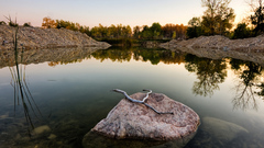 Collection This deviantart woops 1280x960 diviningrod