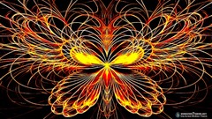 Colors butterfly effect