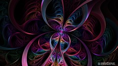 Colors butterfly effect