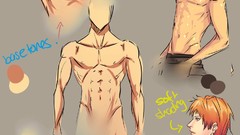 Colors drawings anatomy