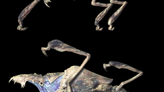 Colors high game parasite