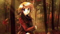 Colors lovely red sunset