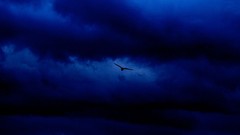 Colors multicolor national geographic skyscapes