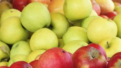 Colors Vitamins fruits fresh strong