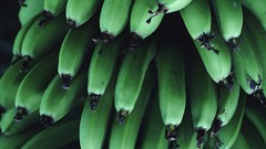 Colors Vitamins fruits fresh strong