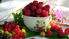 Colors Vitamins fruits fresh strong