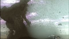 Colossus Shadow of the