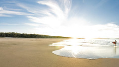 Com 1920x1200 panedia