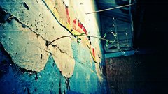 Com lomo lomography growth