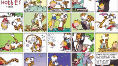 Comics calvin and hobbes