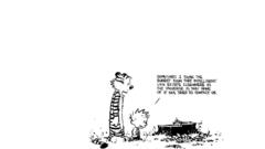 Comics calvin and hobbes