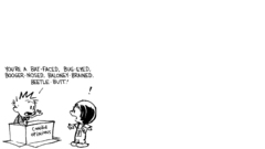 Comics calvin and hobbes