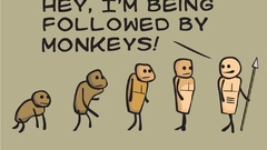 Comics Evolution monkeys following