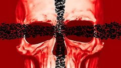 Comics skulls Crossed