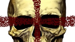 Comics skulls Crossed