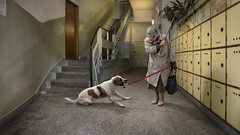 Commercial Jan Kriwol