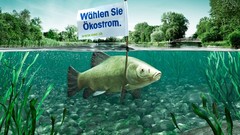 Commercial Thomas Mangold