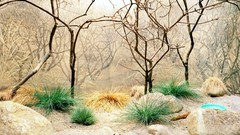 Commercial Thomas Mangold