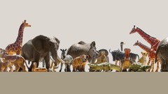 Commercial Thomas Mangold