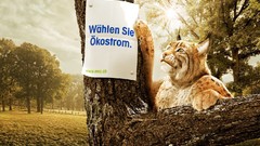 Commercial Thomas Mangold