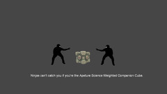 Companion Cube ninjas cant