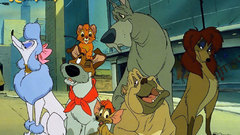 Company and some Oliver get mon let