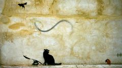 Computer cat mouse banksy