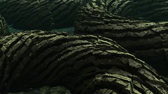 Computer graphics minimalistic cgi