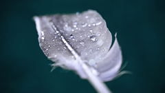 Computer regret having an