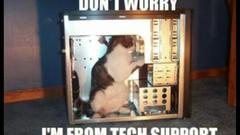 Computers cats support