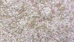 Computers history card punch