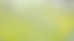 Concept gradient Car