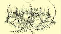 Concept high Resolution oshitsaved