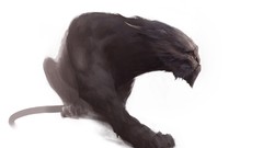 Concept strange artwork digital art fantasy art