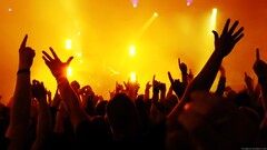 concerts Music crowds arms up lights