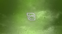 Condensation logo nature