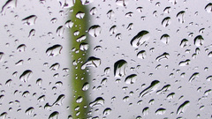Condensation rain on glass