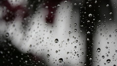 Condensation rain on glass