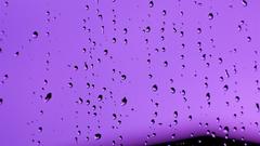 Condensation water drop purple