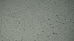 Condensation water glass nature