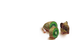 Confused tried fixing it