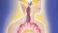 Connection different