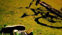 Converse Bicycles All Star