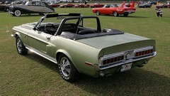 Convertible 1968 shelby gt500 KR