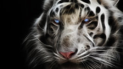 Cool Animals lights tiger