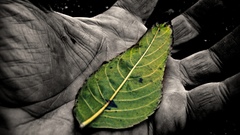 Cool dark nice black