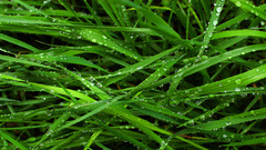 Cool photography nice photo